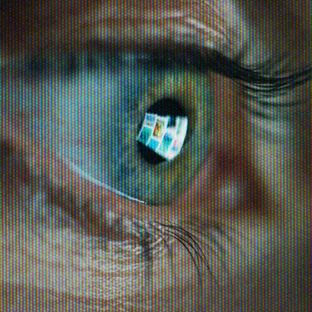 Nadie sabe lo que significa "terminalmente en línea"